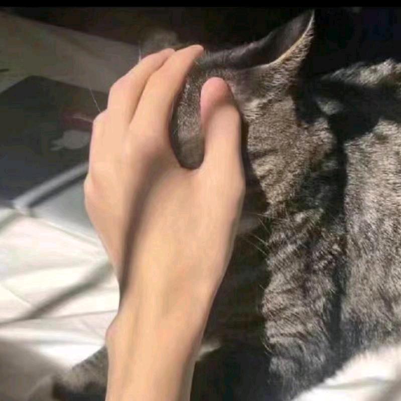 A.爱蛋