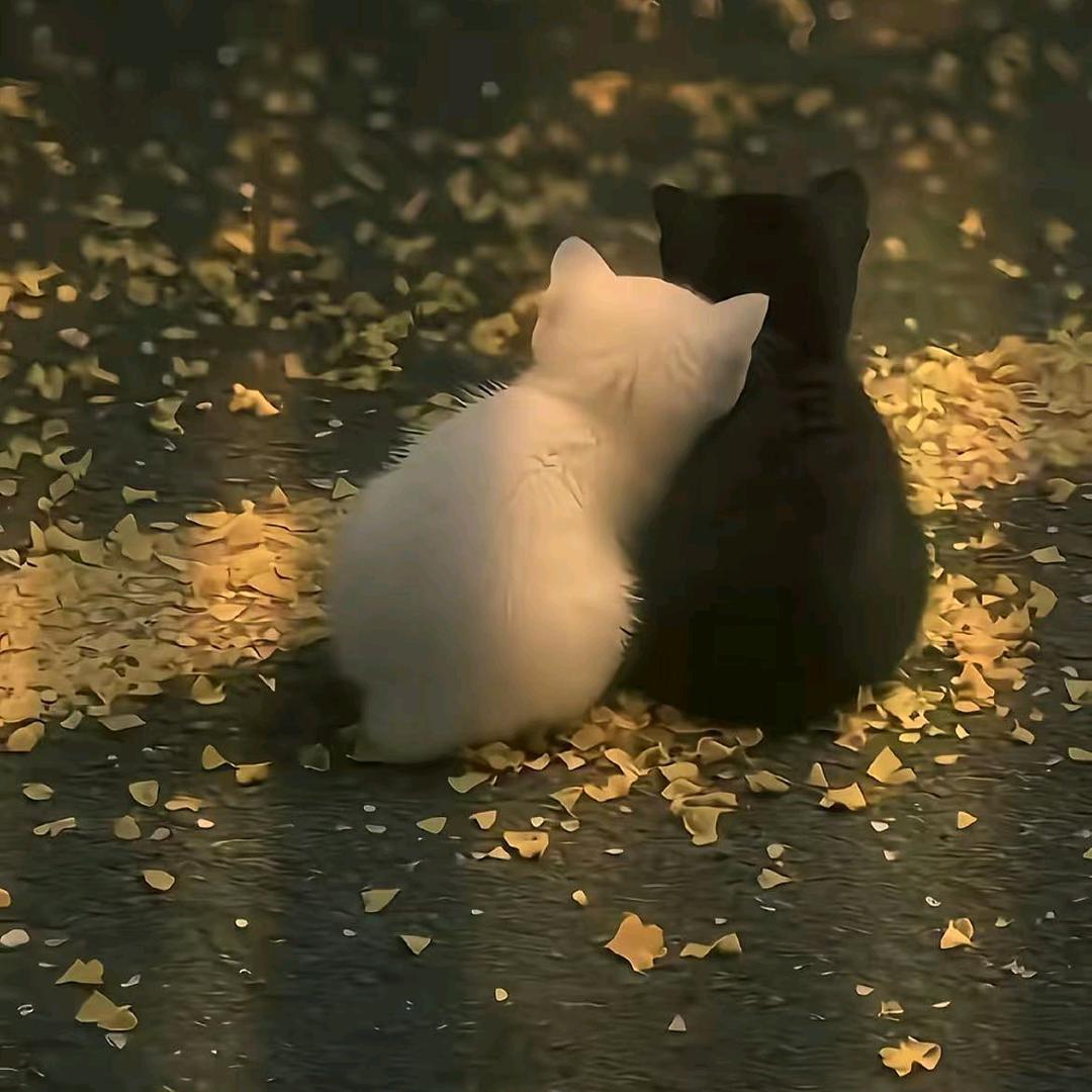 琼琼臻选阁小铺