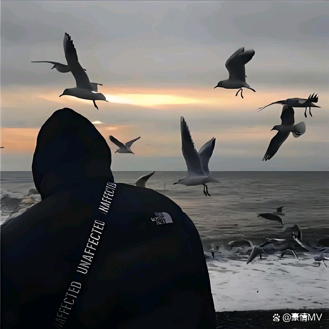 断情戒爱