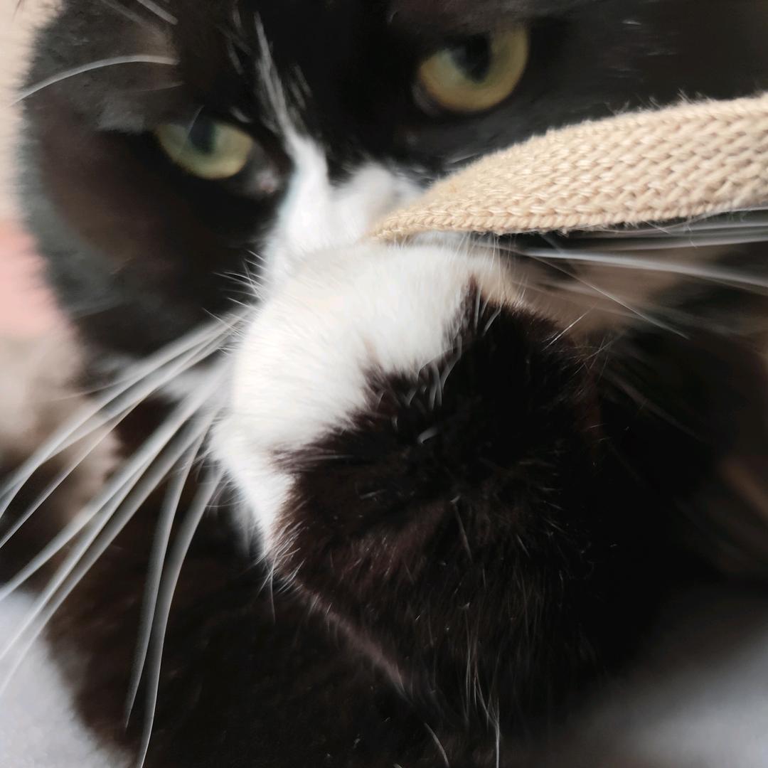 南墙已撞，故事已忘