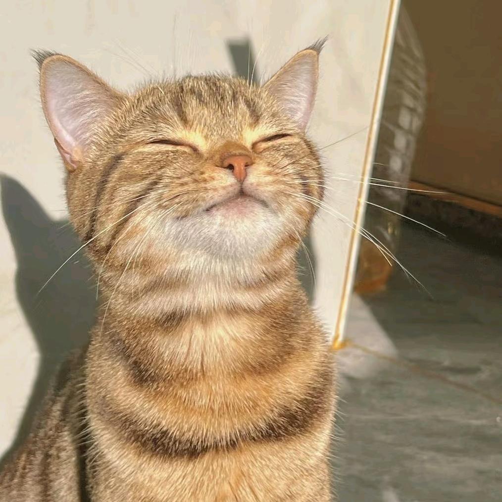 好幸运.