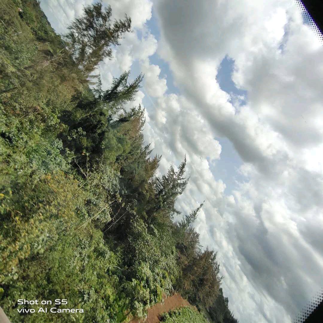 鸿鑫门窗，整体装修