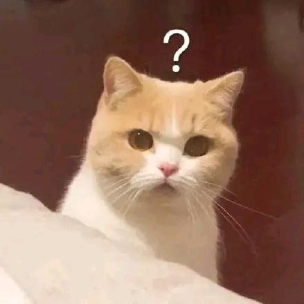 馋嘴大肥猫🍗