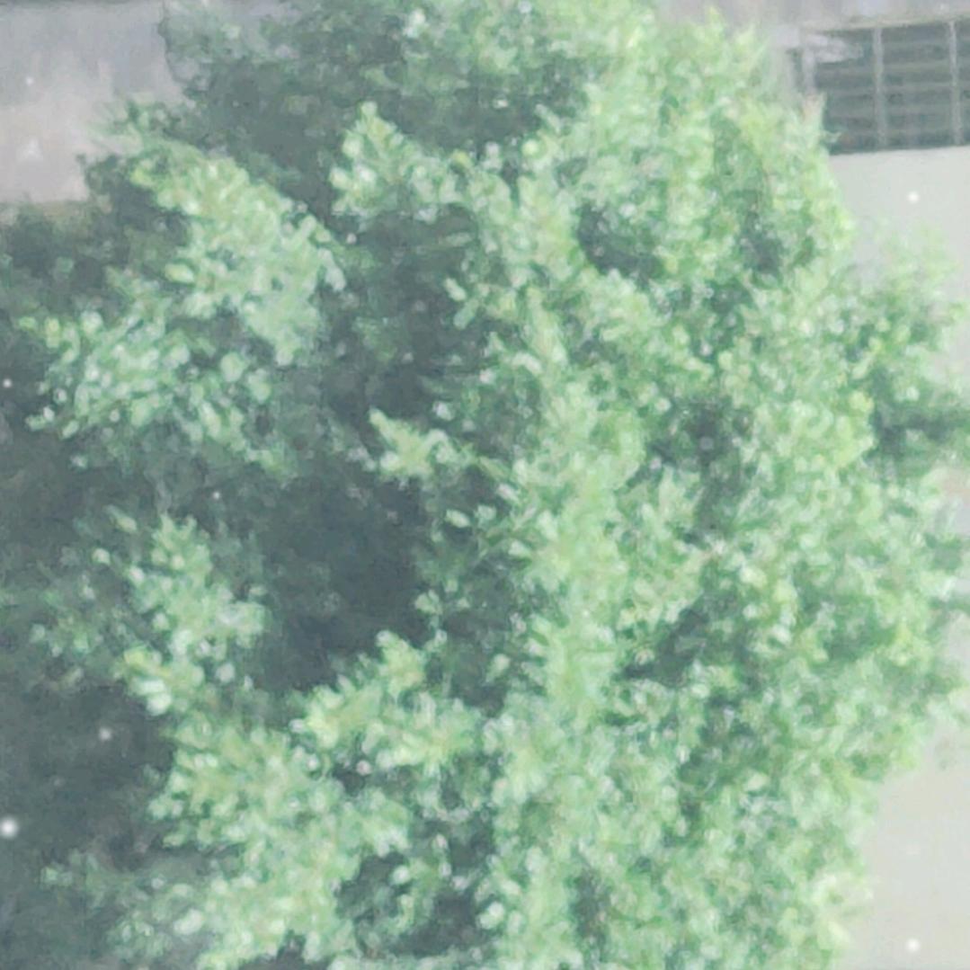 模特队形象代言人