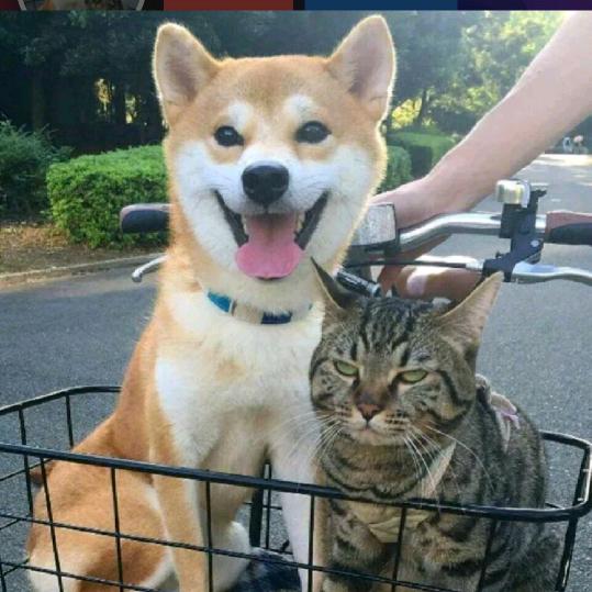 二本不正经学长57丶