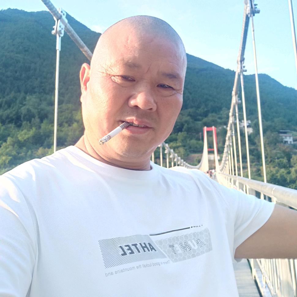 会飞的鱼