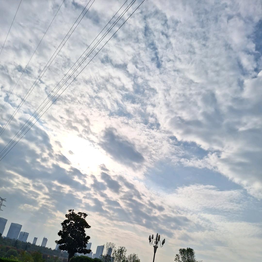 金小洋厨具供应链