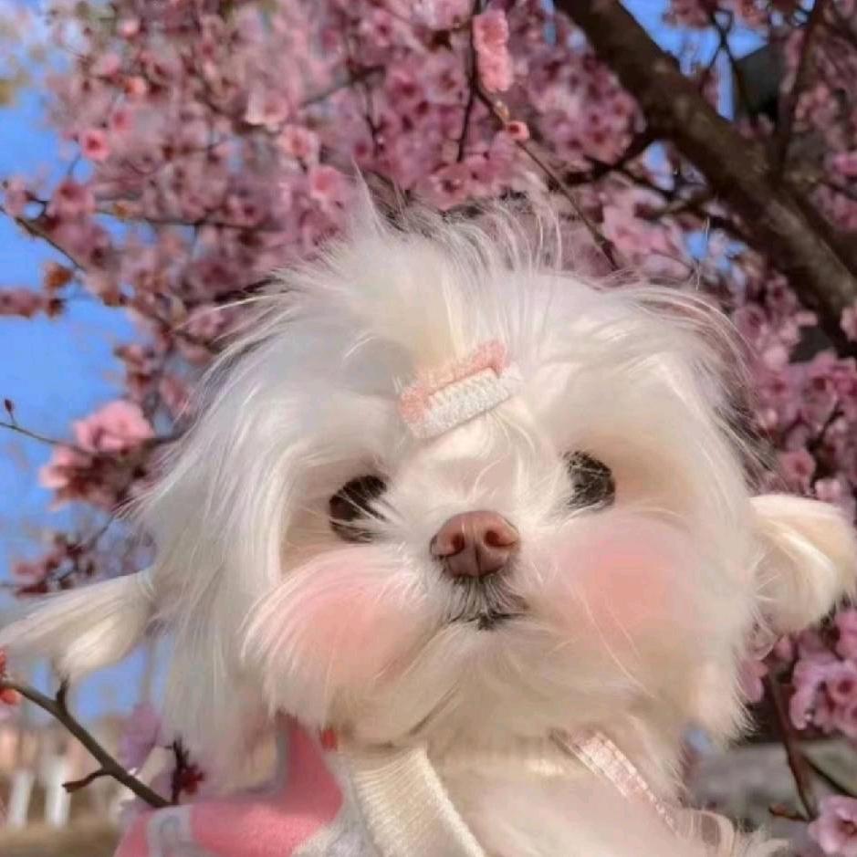 是美欣吖🌈