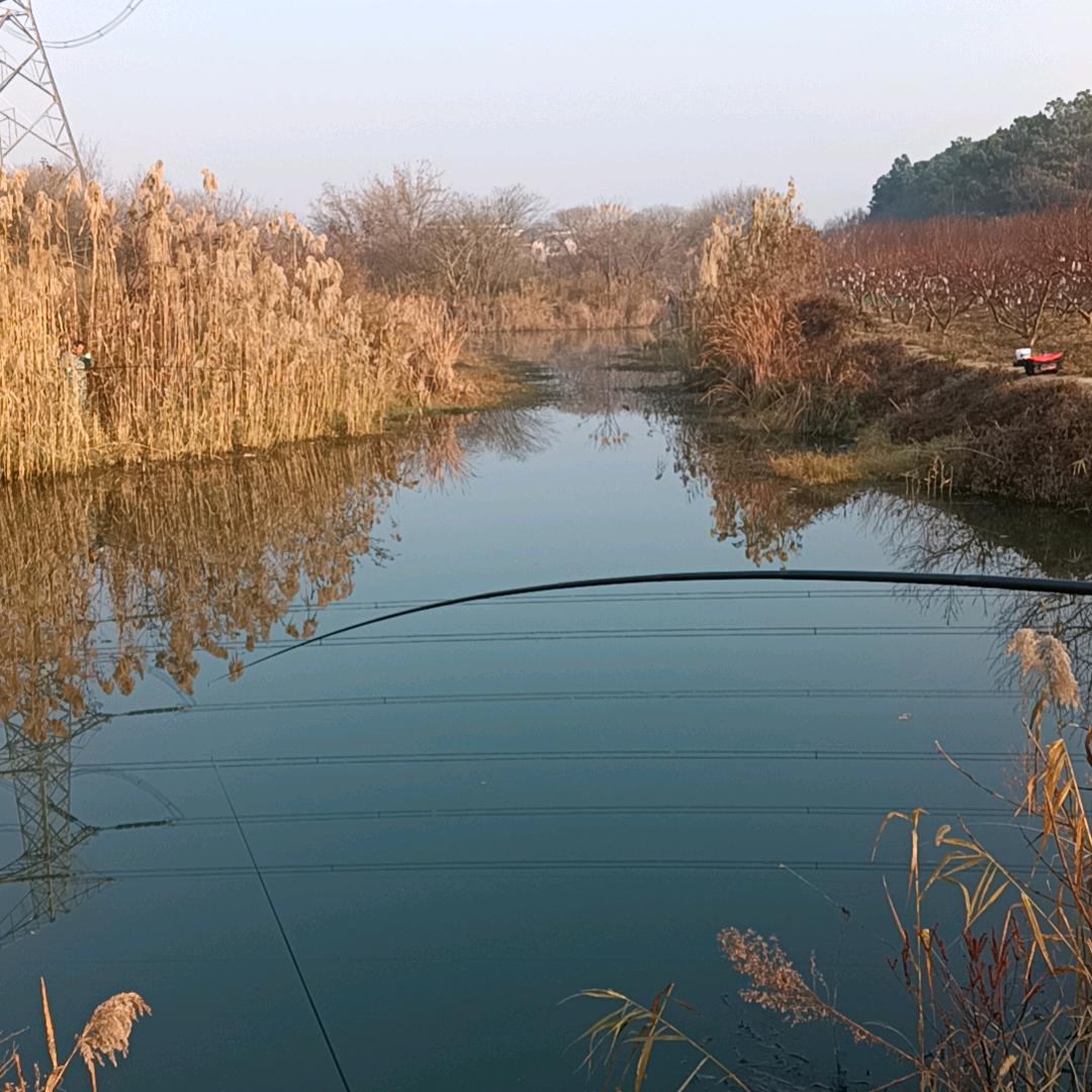 野钓的笨蛋