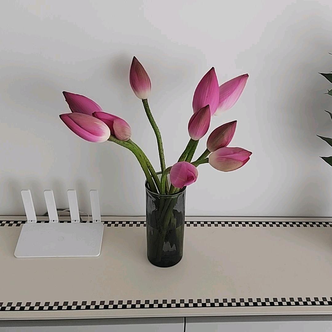 逐光者