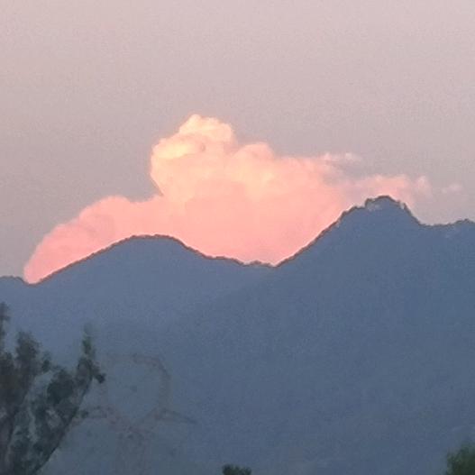 心静自然凉皮拌土豆子