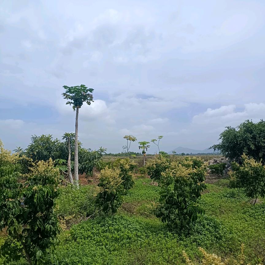 向左向右