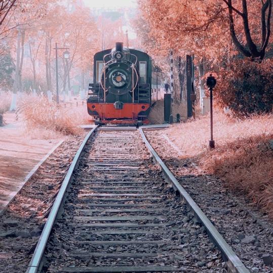 小李没有“刀”🔪