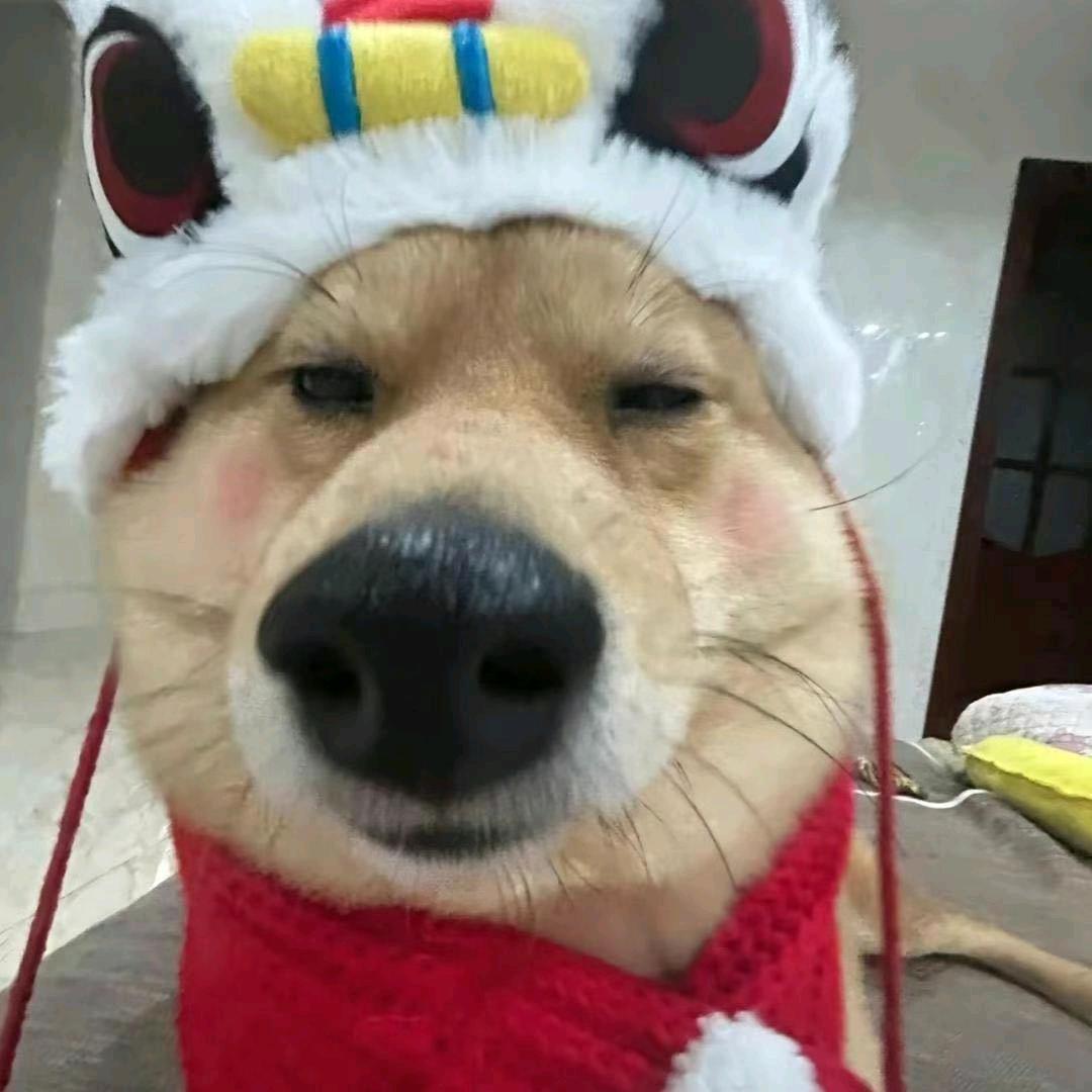 今天想吃麦当劳