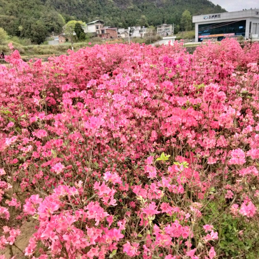 郑钱