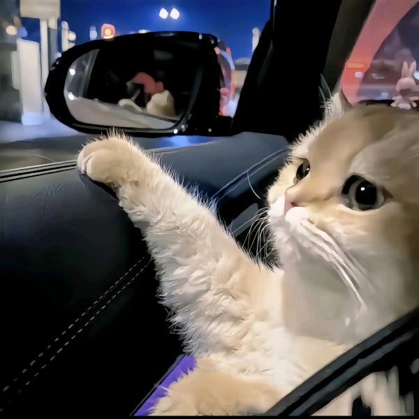 嘻嘻（＾ｖ＾）