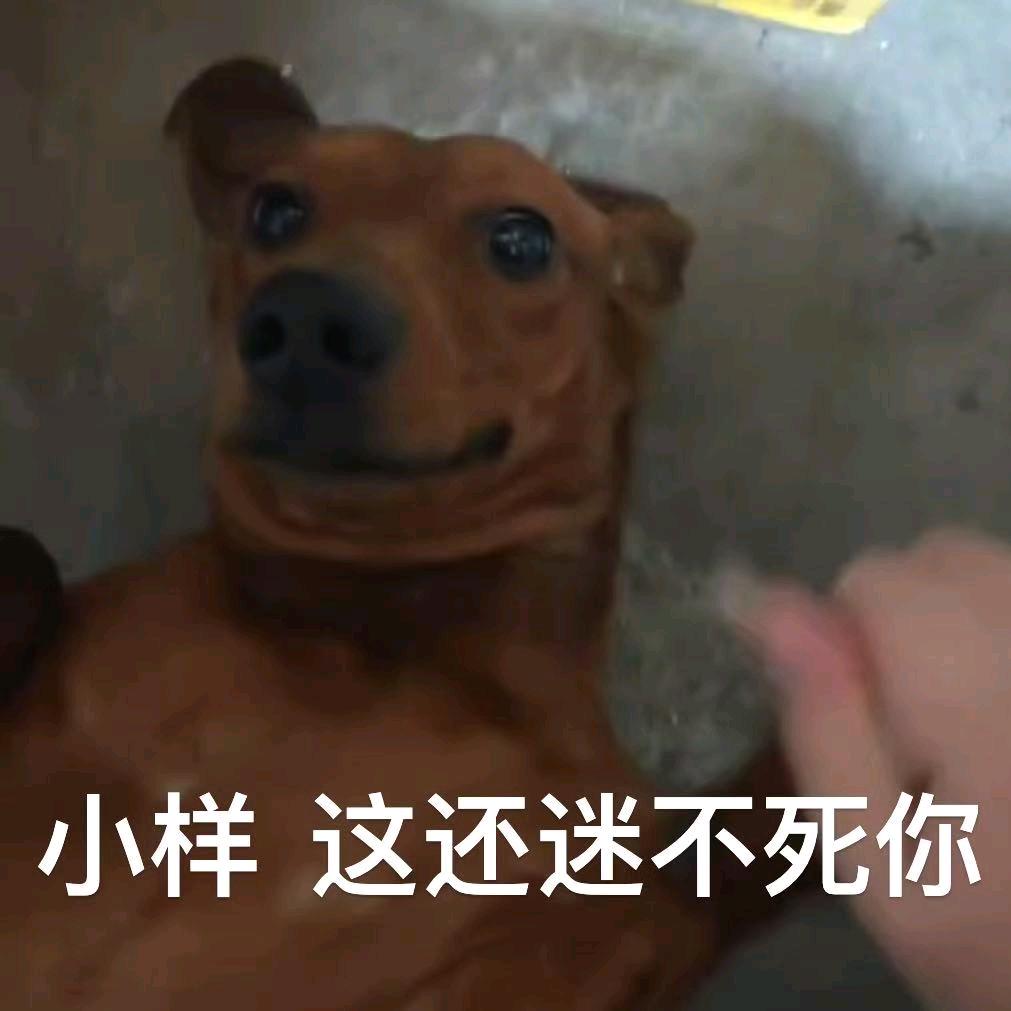 铿锵カニちゃん
