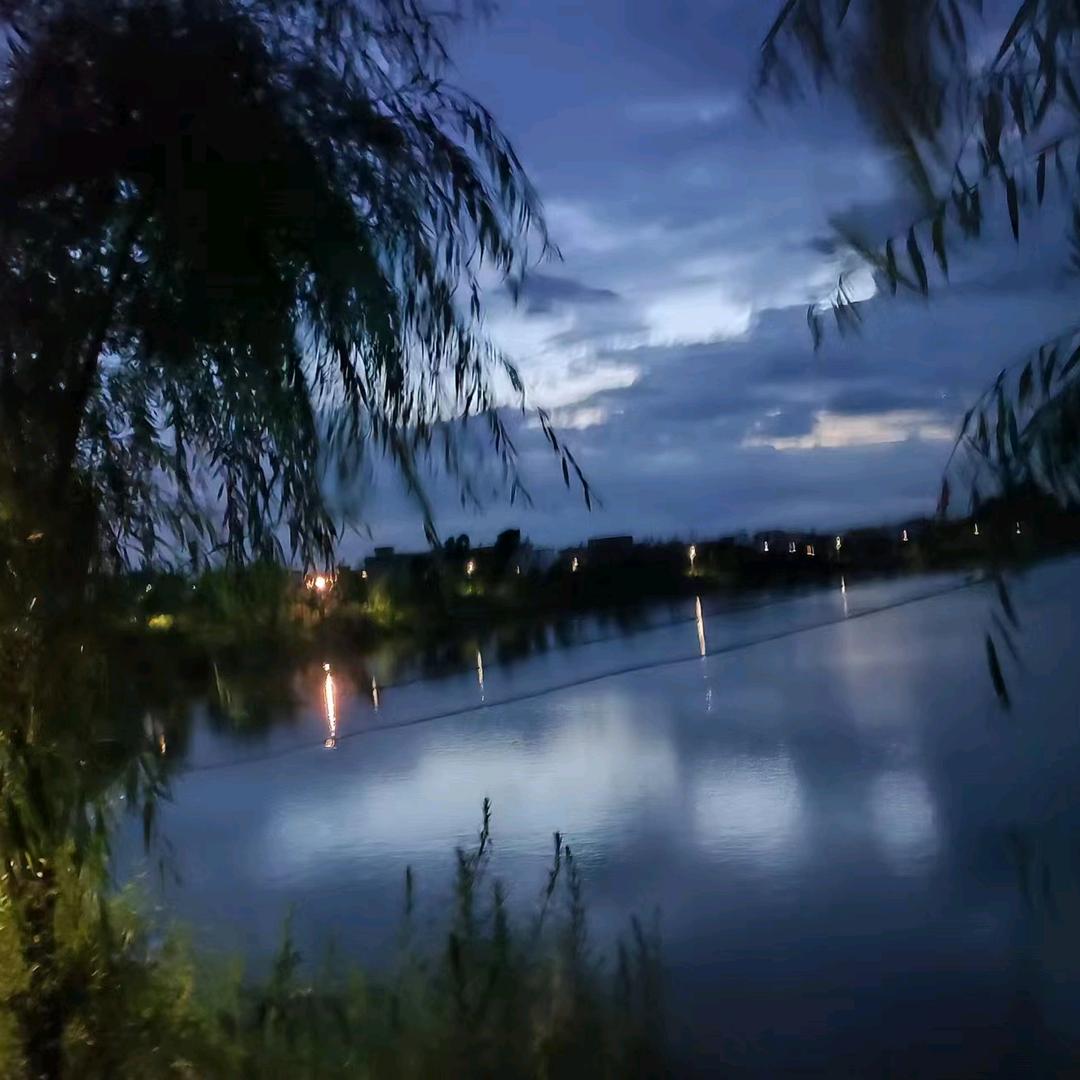 🌸花未全开月未圆🌙