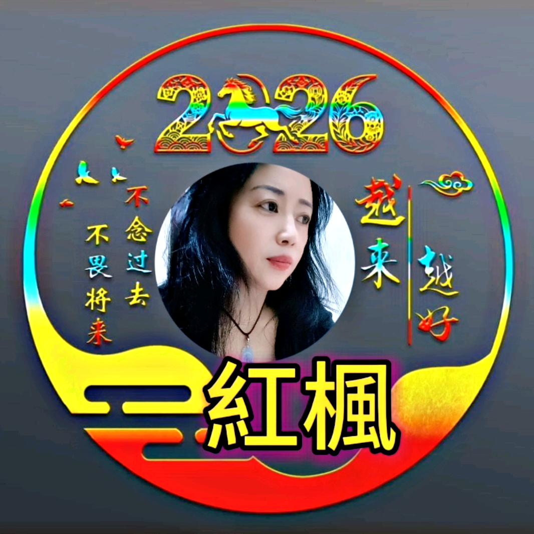 Red maple 紅楓🍁请勿连赞