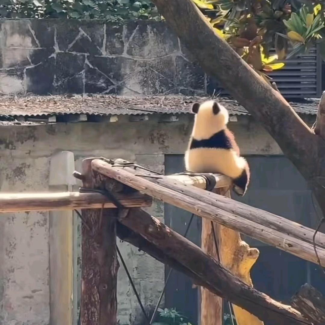 🚬᭄ঞৣঁ无人懂꧔