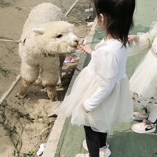星星的蓝天