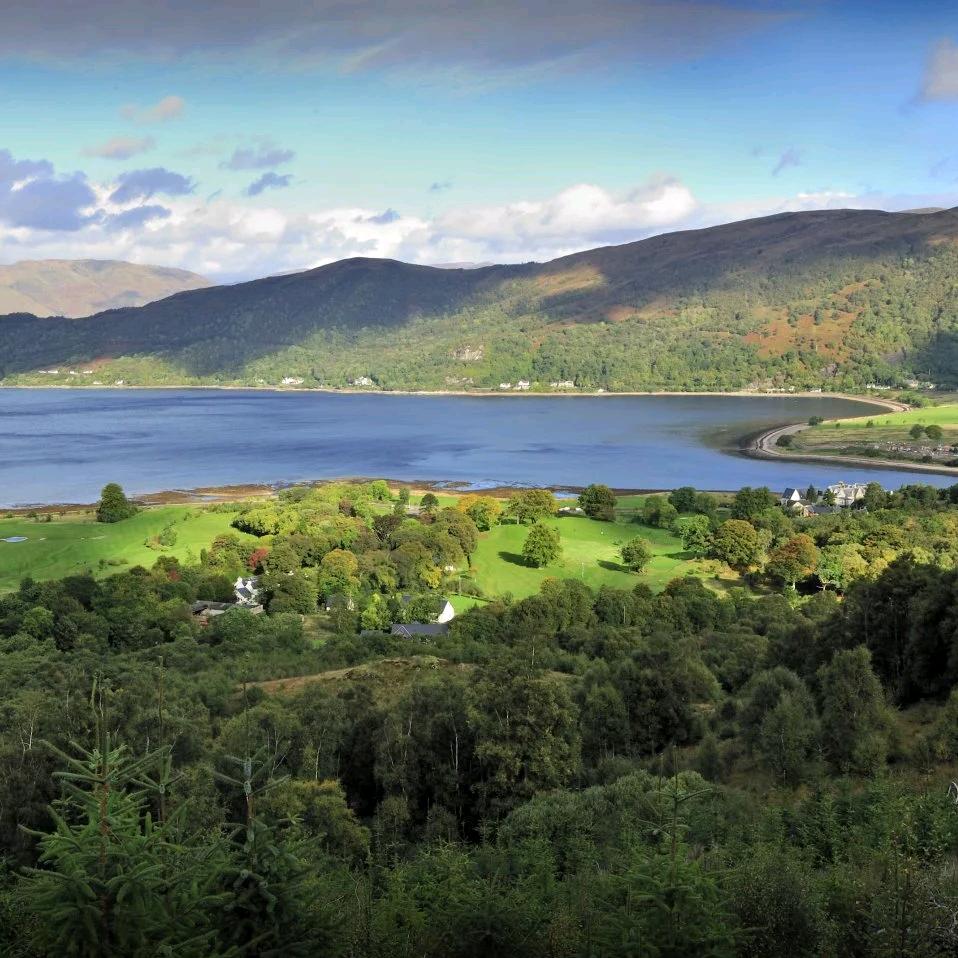 用户62589想想静静