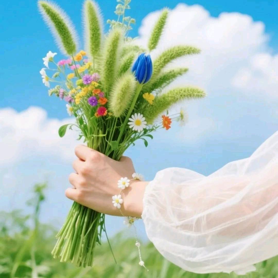 ໑ღ᭄🦋💞