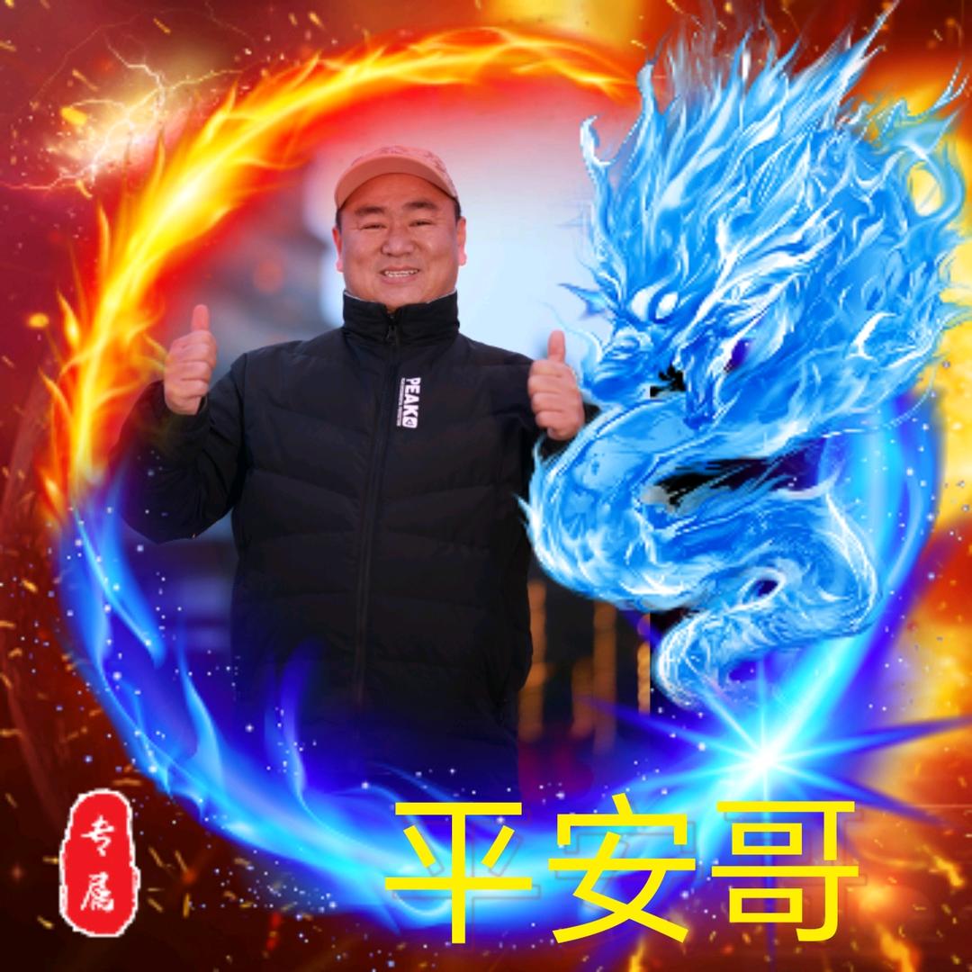平安旅行日记