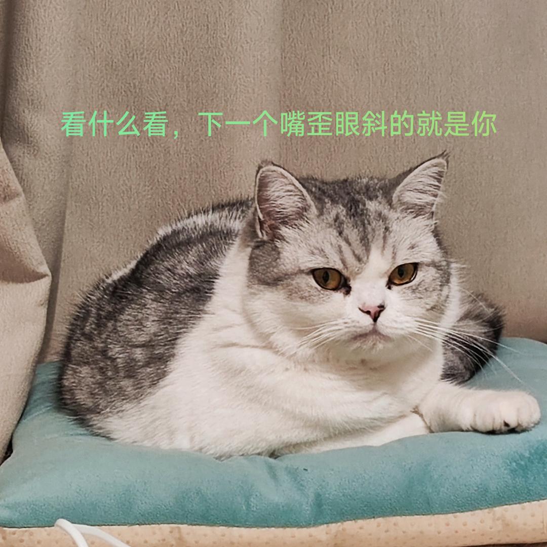 夺笋一锅炖