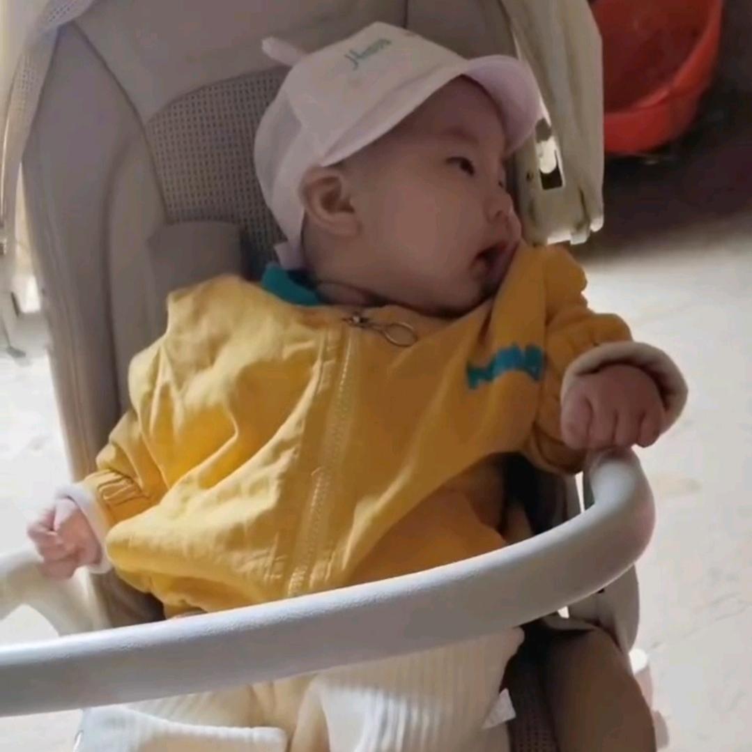 寒梅傲骨