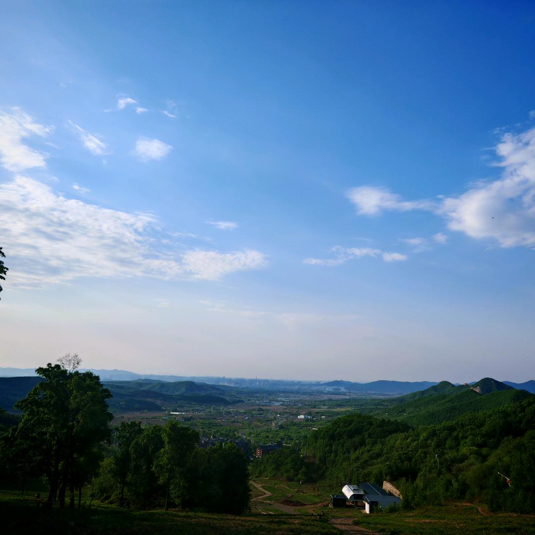 观注棉免废考试籽料