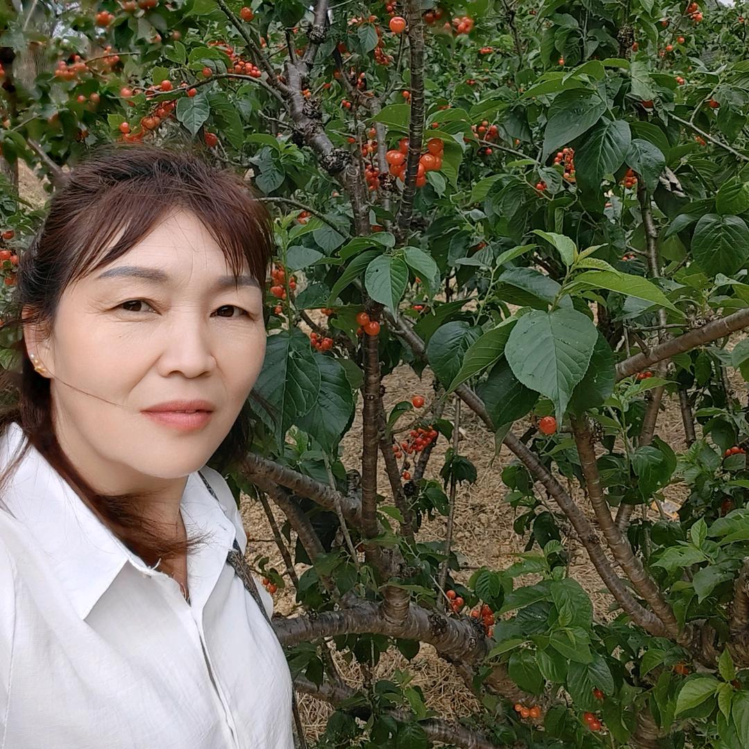 封心❤所爱