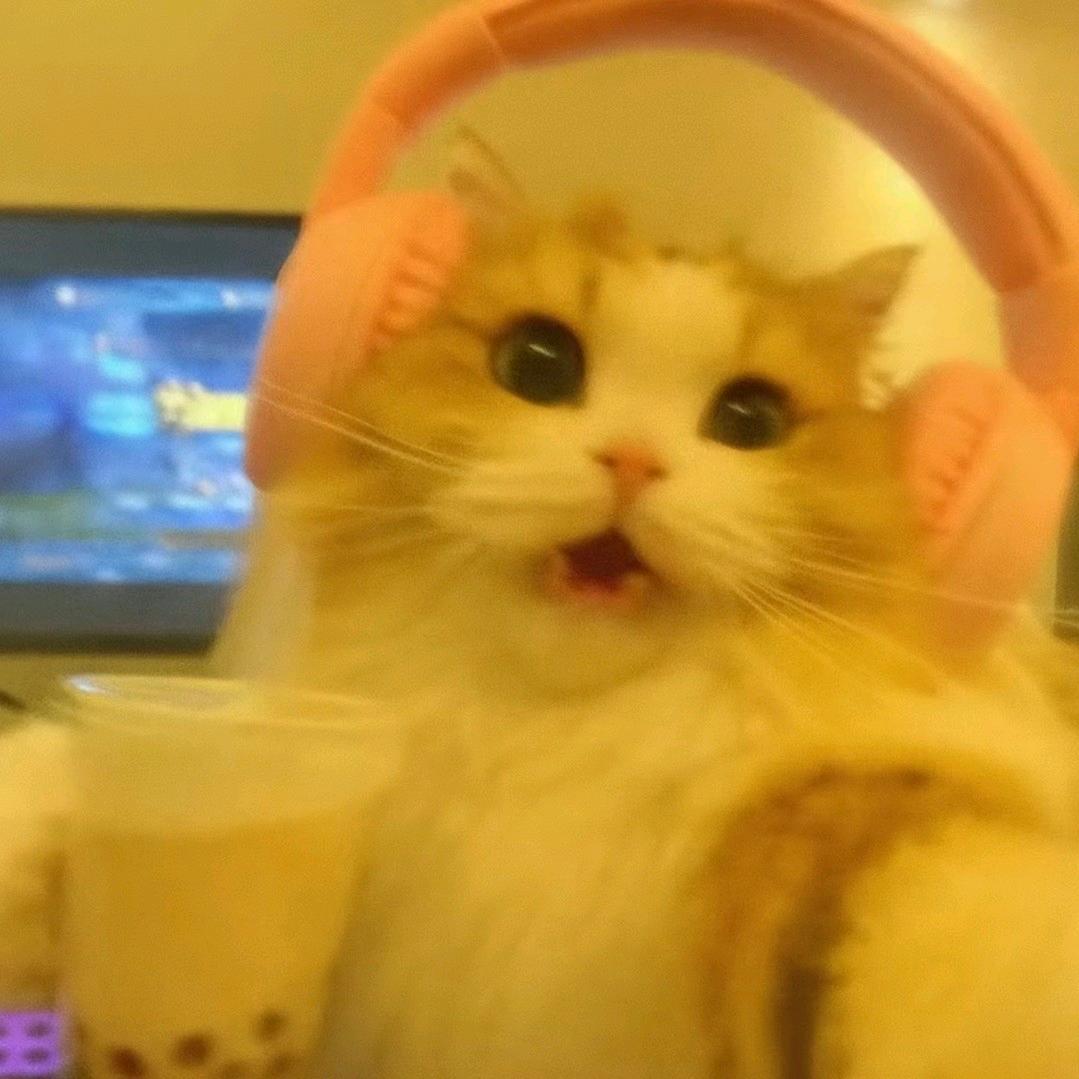 卷卷大王