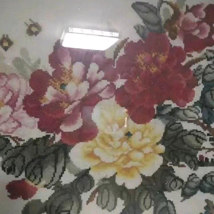 赵宁波
