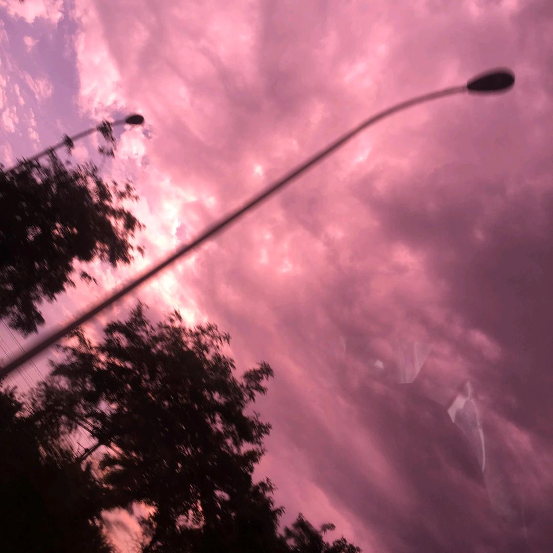 起风了(๑˙ー˙๑)