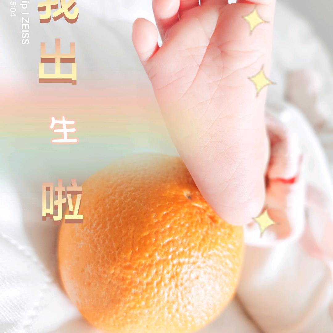 毛毛虫闯红灯