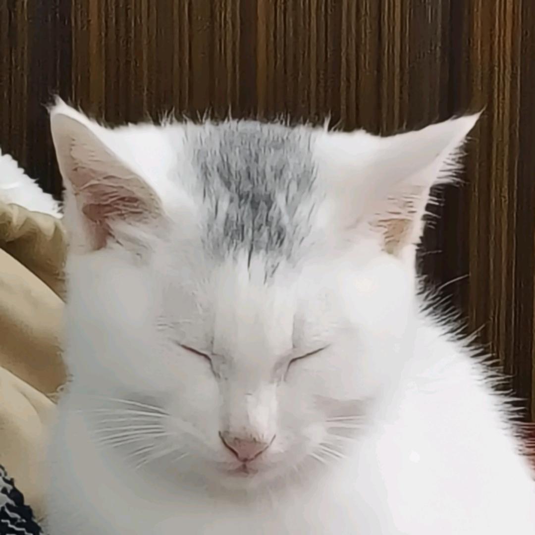 木子某