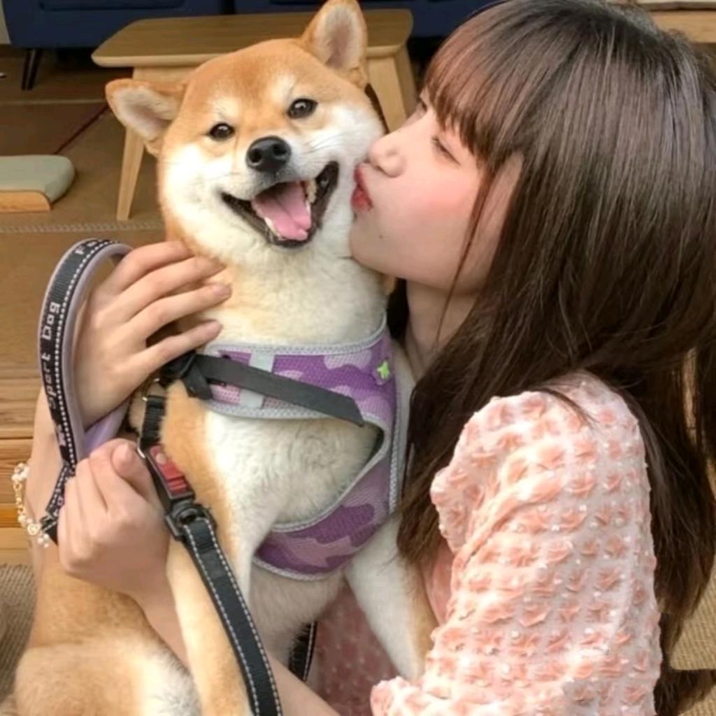 泡芙1111111