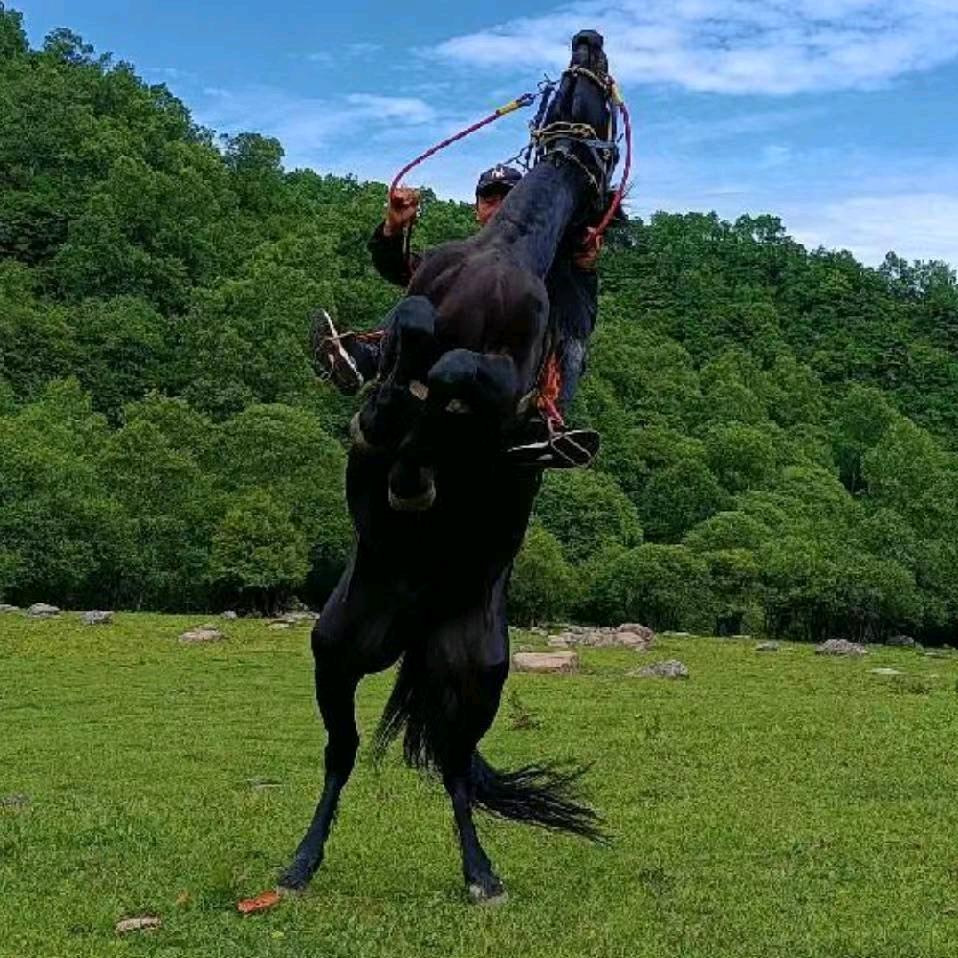 关山牧场 (乐骑士马术俱乐部)