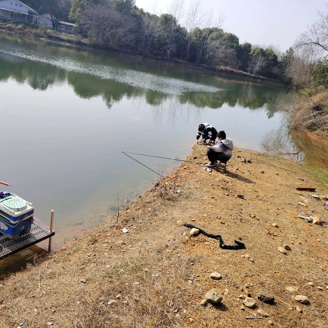 跟着大风捡树叶
