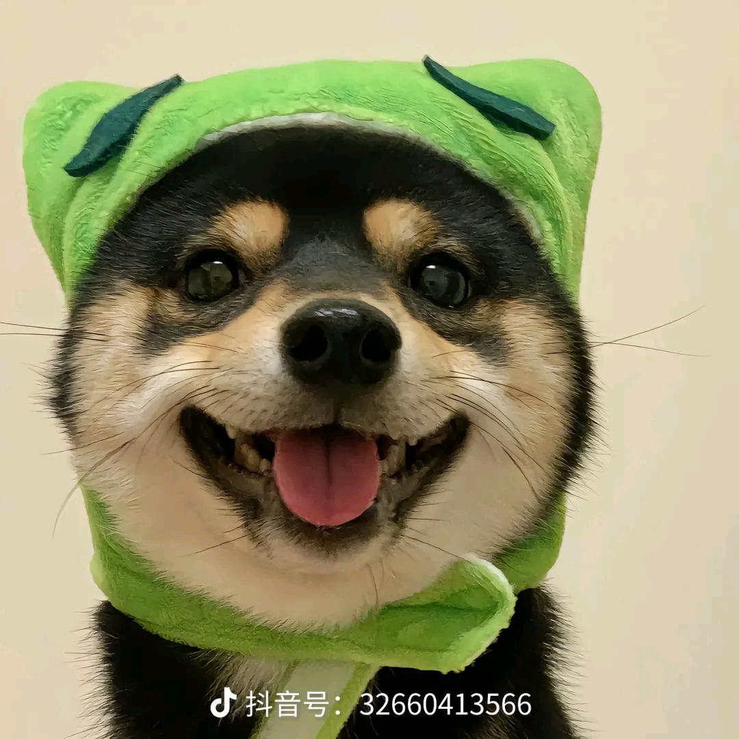 小钦