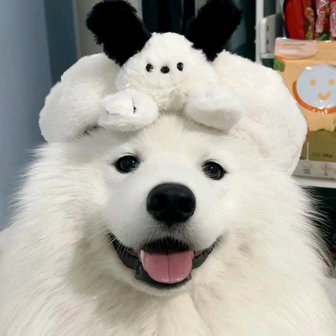 十九闲客