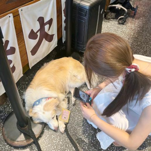 听海