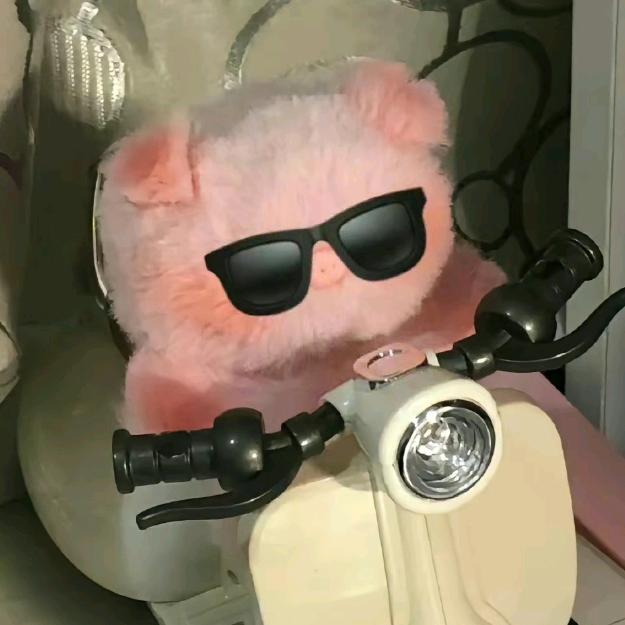 不听十里冬