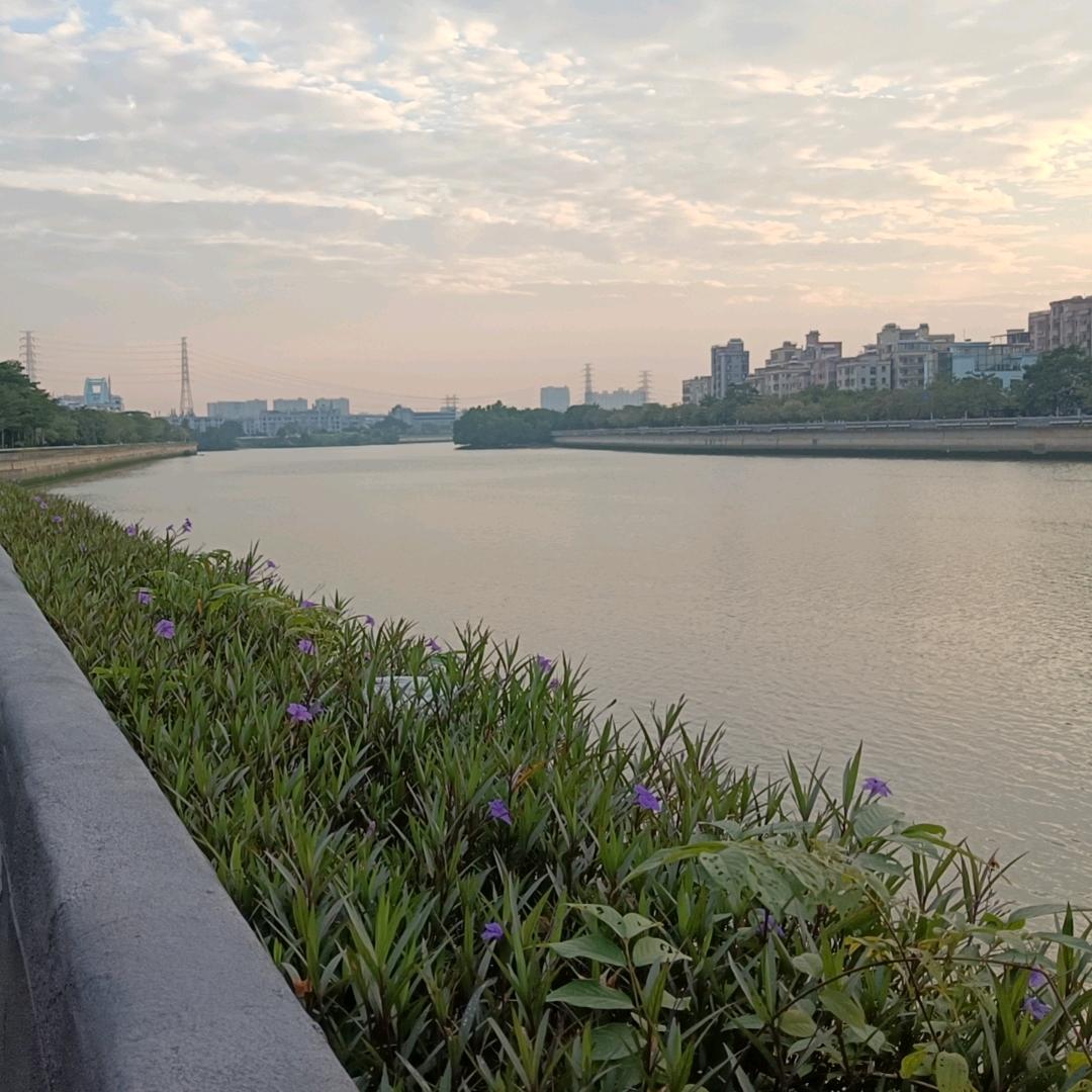 梅梅起飞