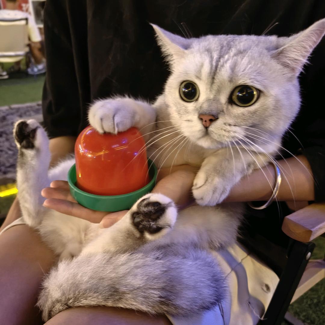 羚Kk