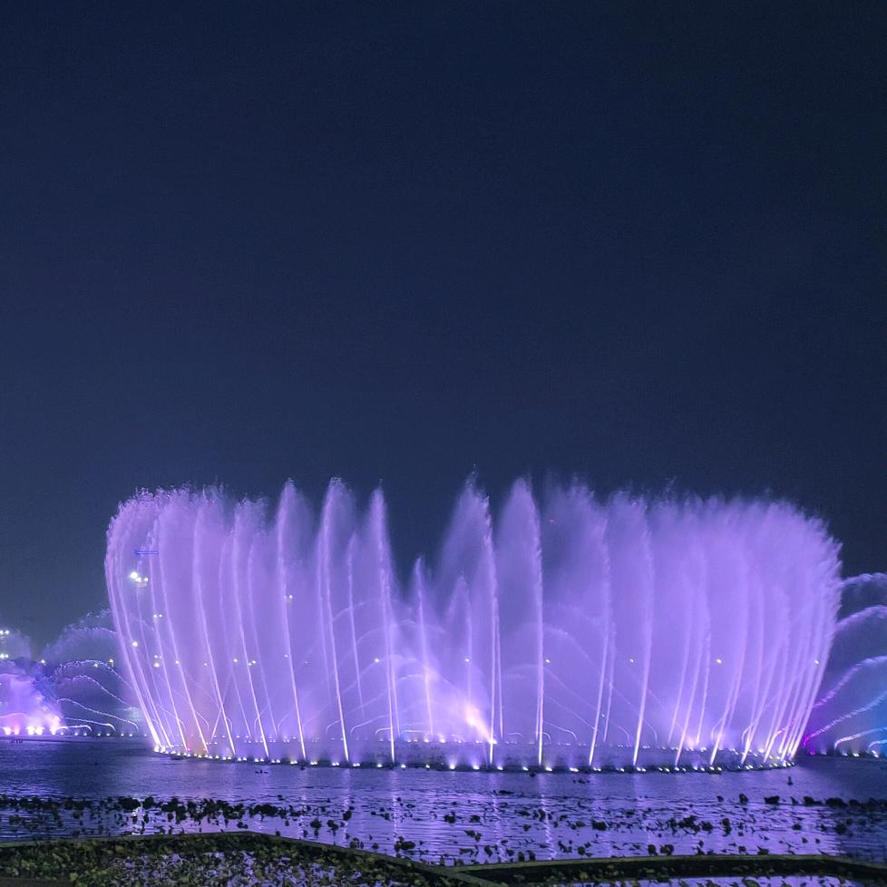 双鹤湖᭄ 浅笑꧔ꦿᩚ暖阳🌾