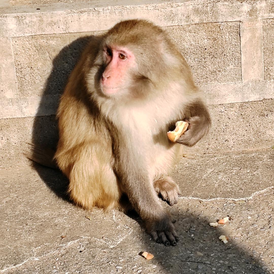 自由人