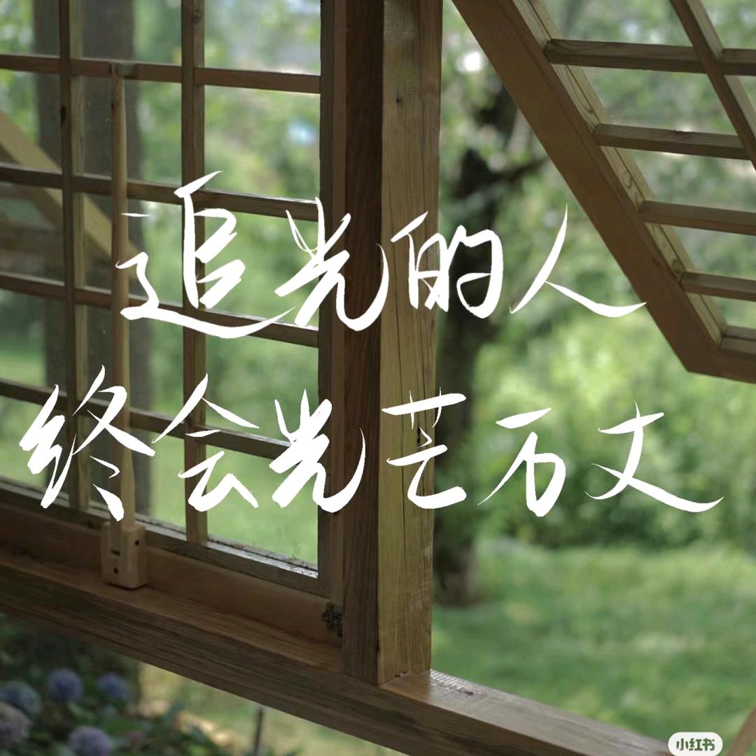 三只猫🐱🐱🐱手作