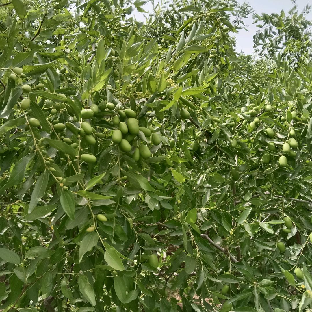 时间比眼镜更能看清楚一切